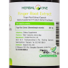 Herbal One Finger Root Extract  ѹ ЪʡѴ è 60 ᤻